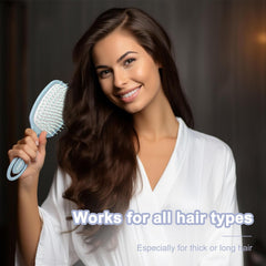 AIMIKE Detangling Hair Brush for for Wet & Dry Hair, Blue